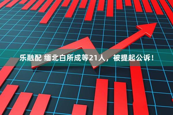 乐融配 缅北白所成等21人，被提起公诉！